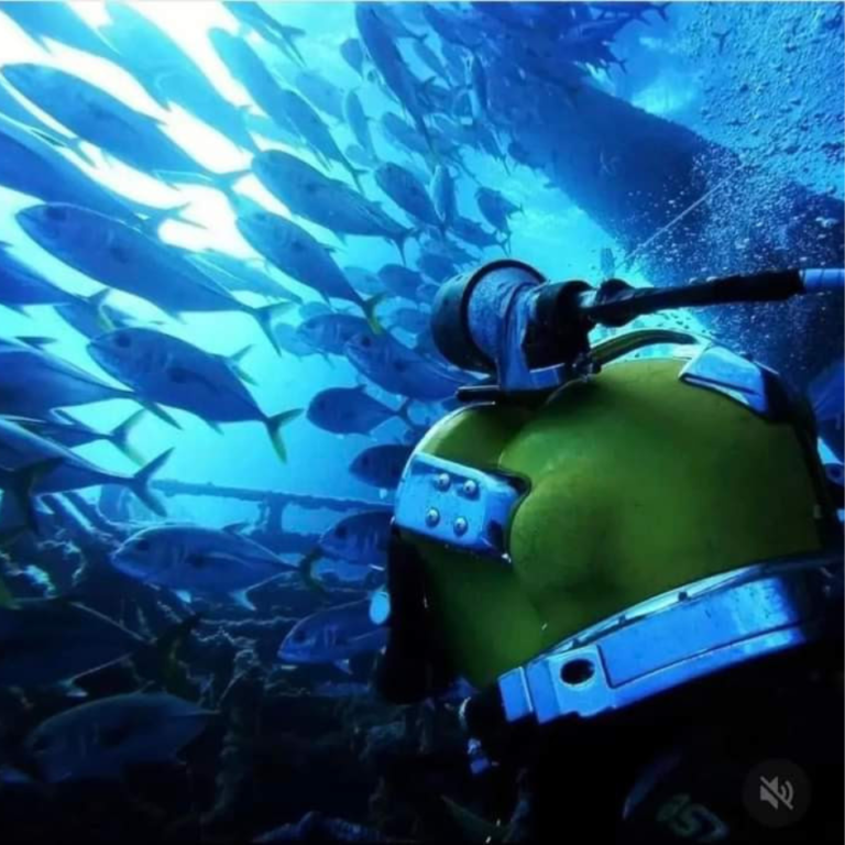 Serviços Subaquáticos