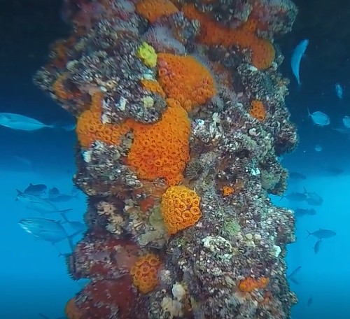 Serviços Subaquáticos